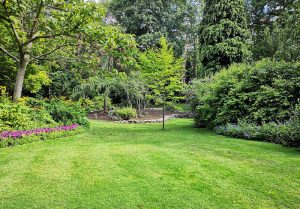 Optimiser l'expérience du jardin à Saint-Seurin-de-Cursac